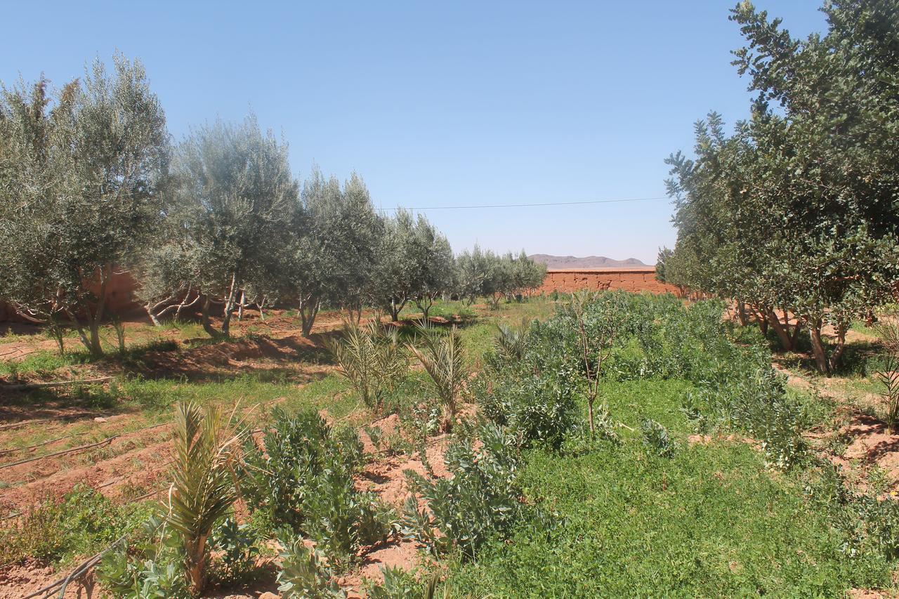Dar Alfourssane Ferme D'Hote Warzazát Exteriér fotografie