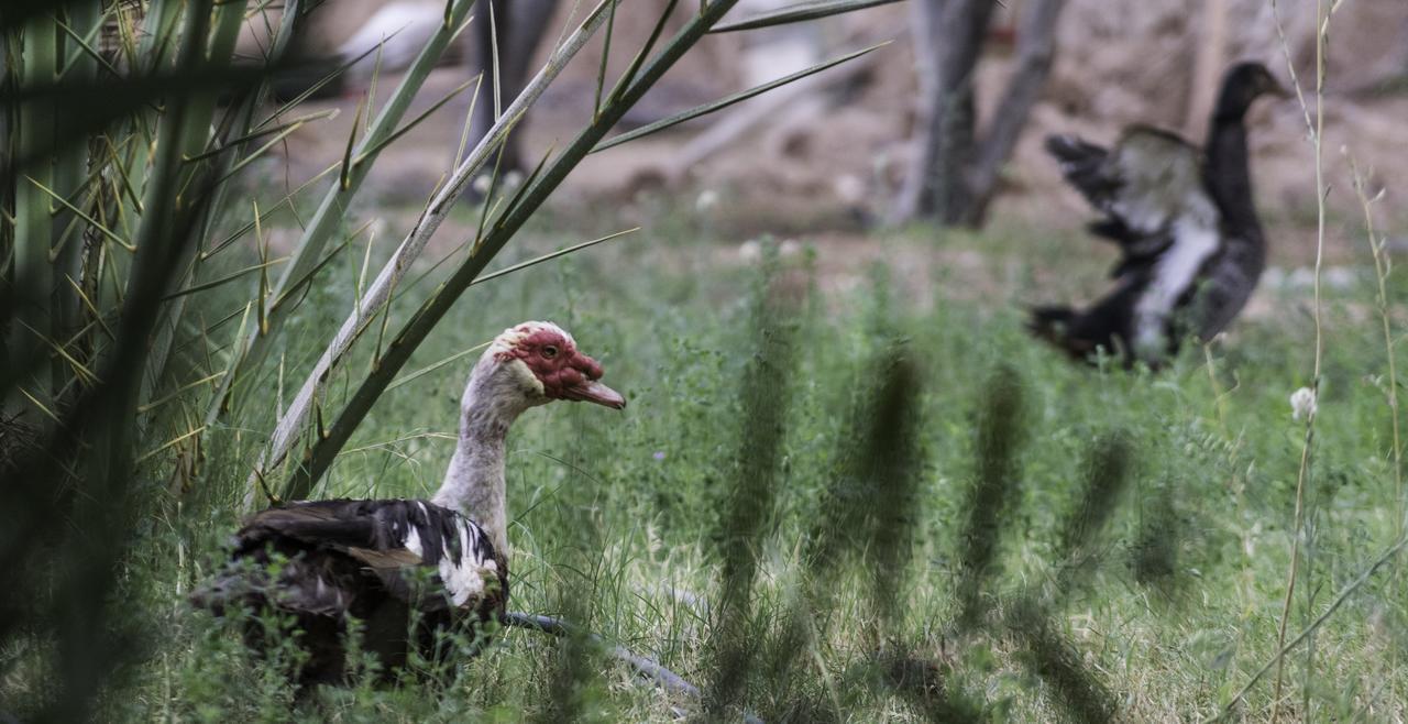 Dar Alfourssane Ferme D'Hote Warzazát Exteriér fotografie